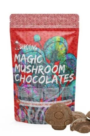Denver mushroom chocolate bars